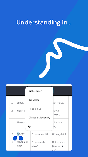 Chinese Dictionary Translate Screenshot 3