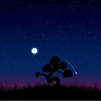 Night Wallpapers