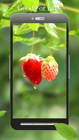Red Strawberry Live Wallpaper Screenshot 1