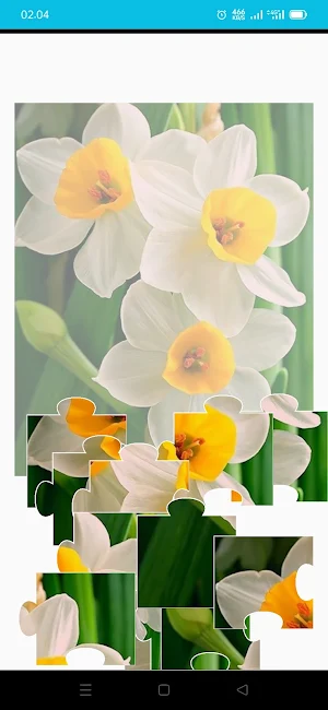 Beautiful Flower Game Puzzle Screenshot 3