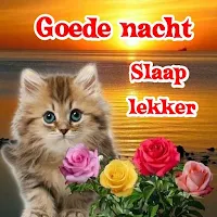 Goede nacht  Slaap lekker