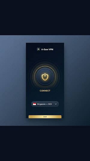 Secure VPN - Saw VPN Screenshot 0