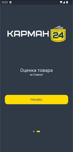 Карман 24 Screenshot 1
