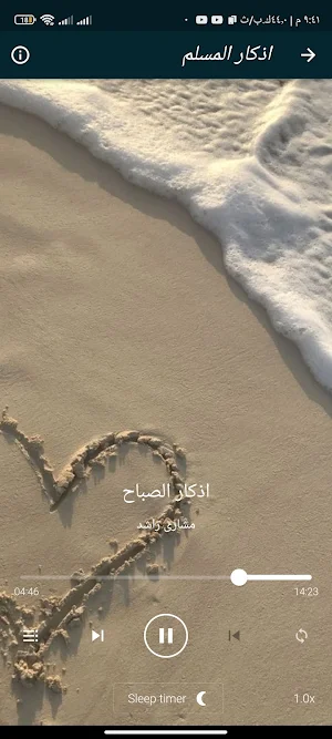 القران بصوت احمد خضر بدون نت Screenshot 0