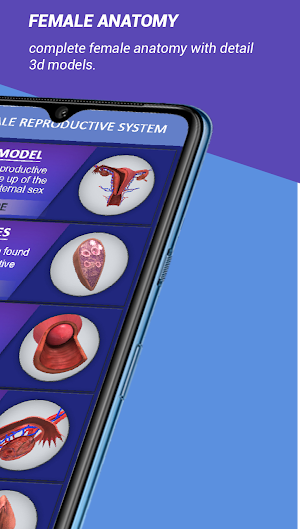 female reproductive system 3d models explained Screenshot 1