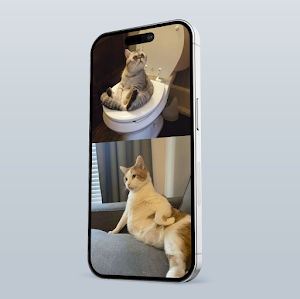 Sweet Cat Screenshot 0