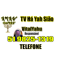 Tv Online HaYah Web