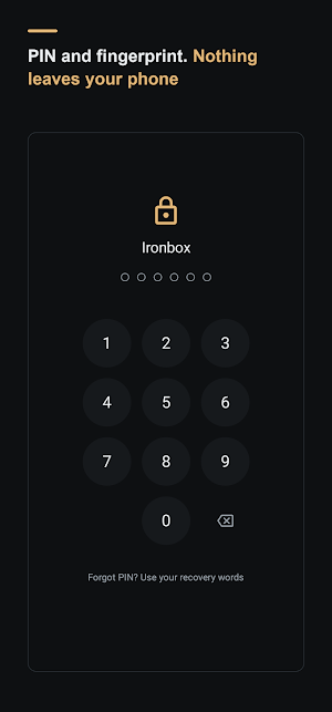 Ironbox — Photo & Video Vault Screenshot 3