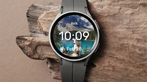 Huskies Sunbathing Watch Face Screenshot 3