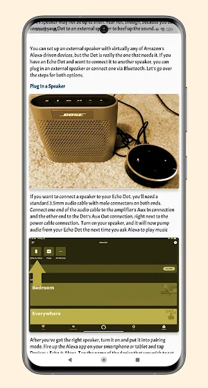 Echo Dot 4th Generation Guide Screenshot 1