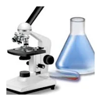 How read medical examinations