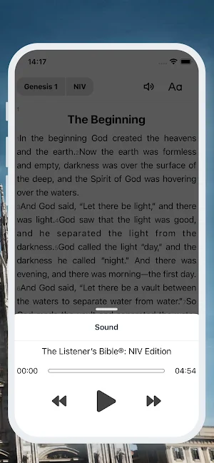 Holy Bible: Verse & Audio Screenshot 3