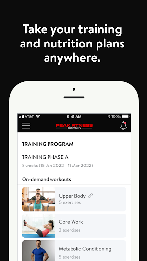 Peak Fit Virtual Screenshot 0