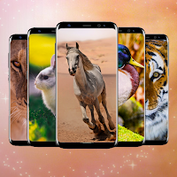 Fondos de pantalla animales HD