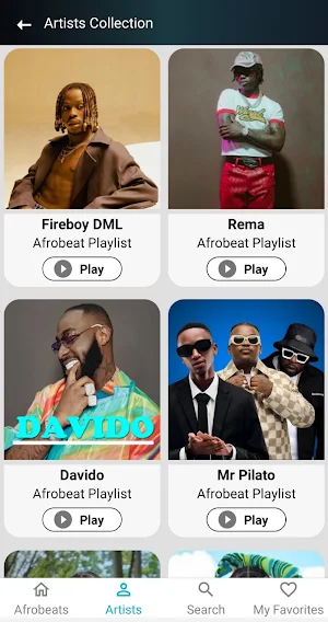 Afrobeat Lyrics: Music Lyrics Screenshot 0