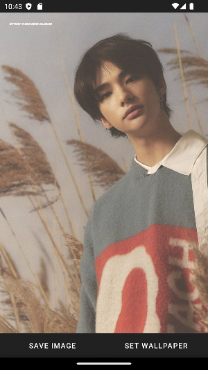 Stray Kids Hyunjin Wallpaper Screenshot 2