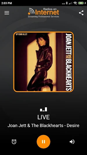 Radios en Internet Streaming Professional Services Screenshot 3