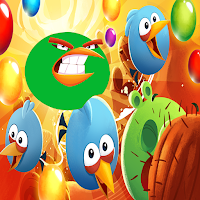 Extreme Cool Birds