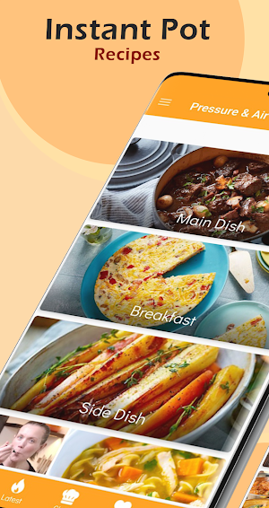 Instant Pot/Air Fryer Recipes Screenshot 0