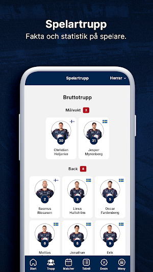 Linköping Hockey Club Screenshot 3