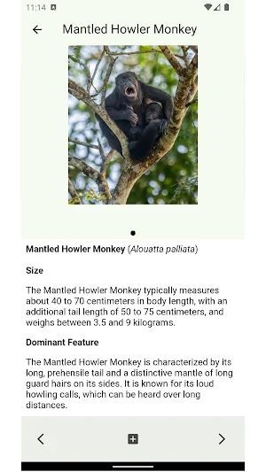 Costa Rica Nature Screenshot 3