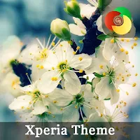 Beautiful Spring | Xperia Theme