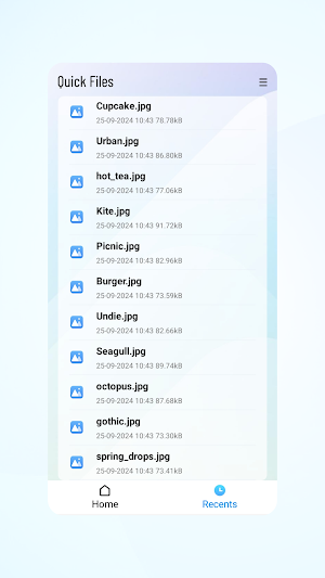 Quick Files Screenshot 1