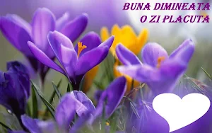Buna dimineata Screenshot 3