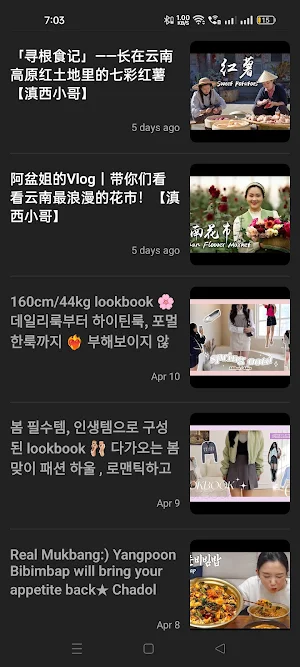 Taste of Korean Cooking Videos Screenshot 2
