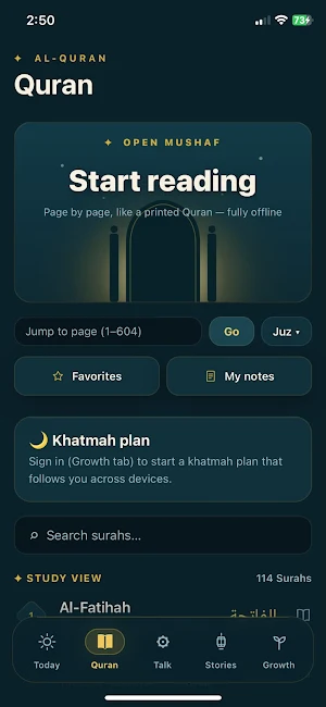 Noor Screenshot 1