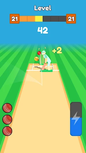 Cricket Bowling Screenshot 0