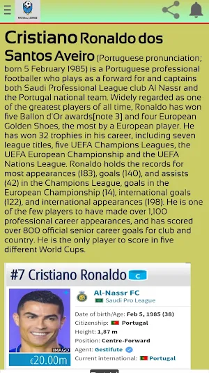 Football Legends Screenshot 2