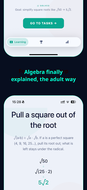 Algebra for adults Screenshot 2