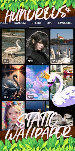swan wallpaper Screenshot 3