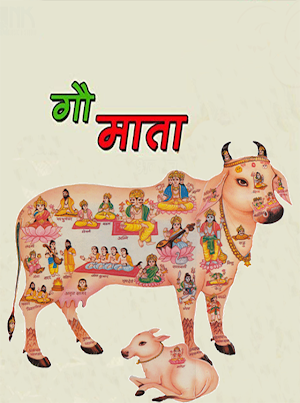 Gau Mata Screenshot 0