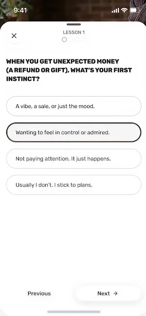 Financial Resilience App Screenshot 1