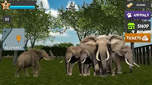 Animal Shelter: 3D Safari Zoo Screenshot 2