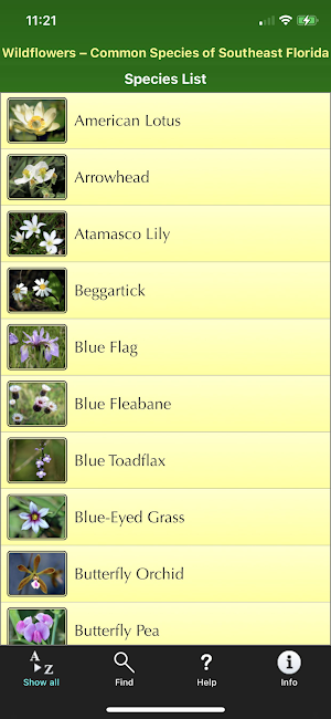 Southern Florida Wildflowers Screenshot 0