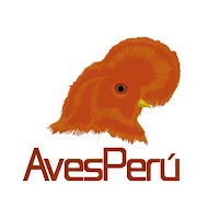 Aves del Perú