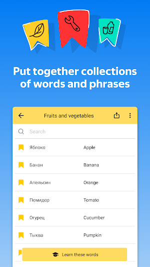 Yandex.Translate – offline translator & dictionary screenshot 5