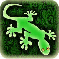 Gecko photo image editor