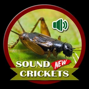 cricket sound Screenshot 0