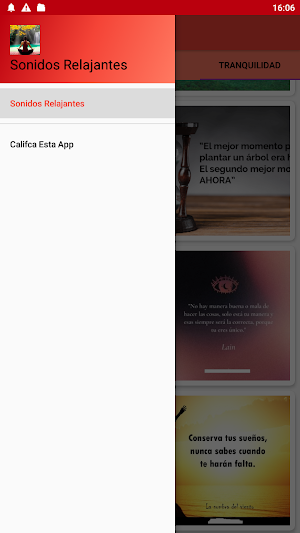 Sonidos Relajantes Screenshot 2