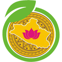 Nông sản an toàn Nghệ An