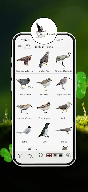 Birds of ireland Field Guide Screenshot 0