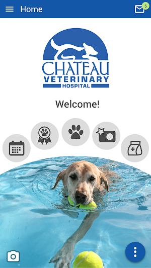 Chateau Veterinary Hospital Screenshot 0