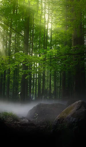 Relaxing Music Screenshot 2