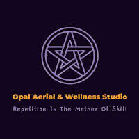 Opal Aerial & Wellness Studio