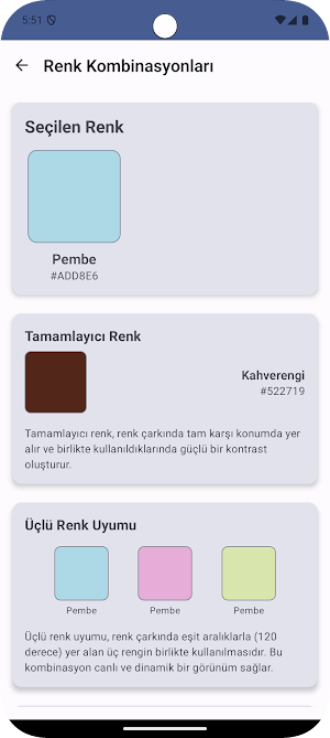 Renk Zihni Screenshot 3