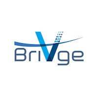 BriVge Beta